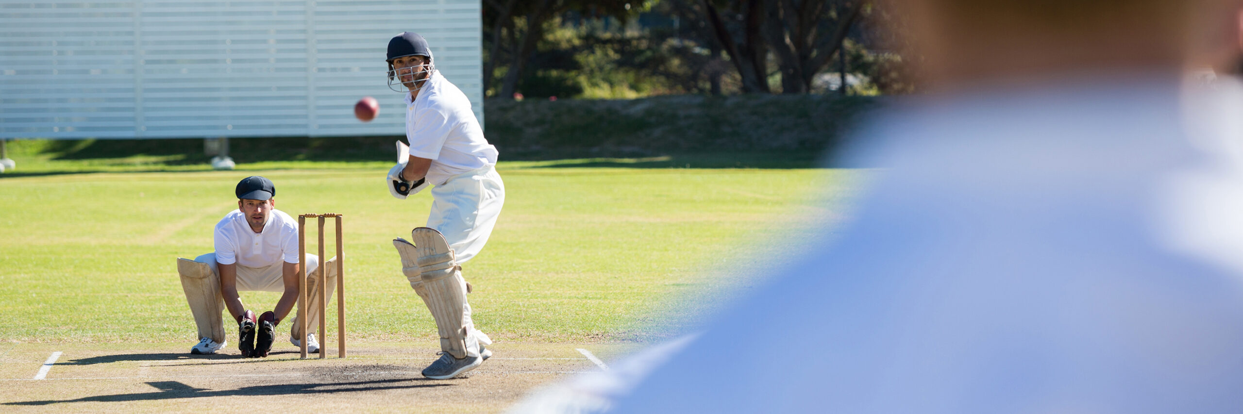 cricket sport